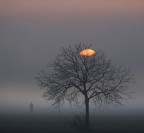 img_ 008