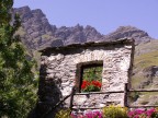 oasi alpina