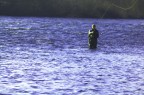 pescando
