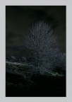 Profili nella notte..