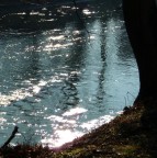 RIFLESSI