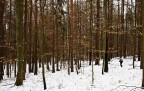 Jogging invernale