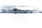 D80, 50mm @ f8, 1/125, 100 iso, mano libera
