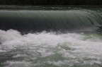 LA SORGUE (FONTAINE-DE-VAUCLUSE)