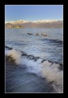 Gita domenicale