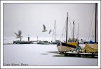 Mare d'inverno