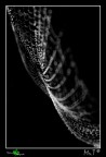 *** jewel ***
