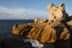 CAPO TESTA
