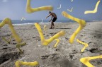 UCCELLI