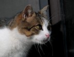 oltre lo sguardo...