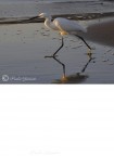 a caccia al tramonto