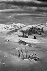 Paesaggio invernale
