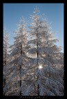 raggi di luce