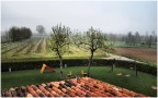 Campagna Mantovana