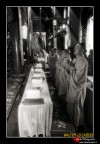Monaci Tibetani
