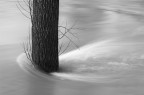 Lungo le sponde del fiume Aniene.