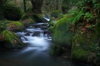 Un pomeriggio toccata e fuga alle cascate di Monte Gelato. Davvero un bel posto che merita sicuramente una seconda visita.