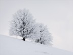pendenza