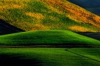 I colori dell'autunno
