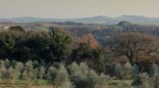 foto presa da casa