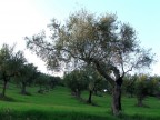 si lo s il cielo  bruciato!