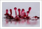 Sigma 105 Macro, 1/320 sec, f14, flash manuale 1/8
