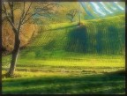 paesaggismo minimale