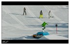 Bonk nosegrab?!?!