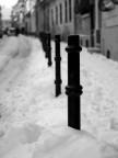 Paletti d'inverno