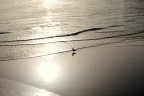 Silenzio