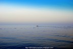 Respirando il mare