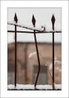 27 Gennaio 1945