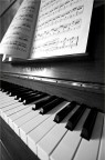 Il Pianista