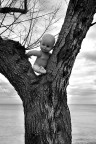 L'albero della vita
