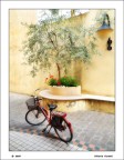 BICI ROSSA