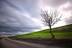 strada di campagna
