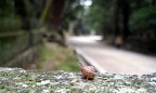 Long Way Home