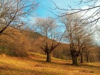 Passeggiata invernale