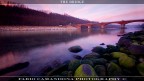 the bridge