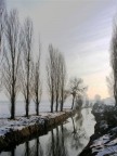 un canale di irrigazione