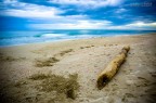Il Mare d'Inverno