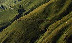 linee e ombre