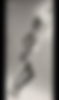 Serie EXP II