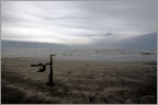 Il mare in inverno ha un fascino molto pi particolare che in estate: vuoi per gli spazi aperti e sconfinati, vuoi per i suoi silenzi, vuoi per la musica che emana...oppure per la profonda solitudine che vi traspare.
Qualunque cosa l'uomo vede, la vede con gli occhi del suo umore!