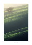Toscana (5)