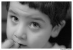 Mio figlio
Fuji S5 Pro, nikon 50/1.4@1.4 1/50 1600 iso
Camera raw e PS


Consigli e crtiche sempre ben accetti