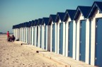 Mare