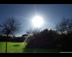 Anteprima di Primavera