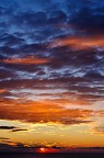 alba