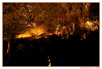 Scattata nelle suggestivi grotte di Castelcivita (SA); la foto non  proprio perfetta, visto che erano i primi periodi che scattavo e con molta inesperienza.